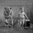 /album/galerie-foto/a944787-490225567733762-751024986-n-jpg/