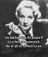 /album/galerie-foto/a10928825-763769660339593-93093776184434960-n-jpg/