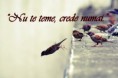 /album/galerie-foto/a74997-441442999244819-642582088-n-jpg/
